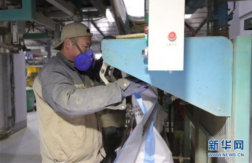 沈陽多措并舉保障飼料與畜牧產(chǎn)品供應(yīng)，為畜牧漁業(yè)穩(wěn)產(chǎn)提供堅實支撐